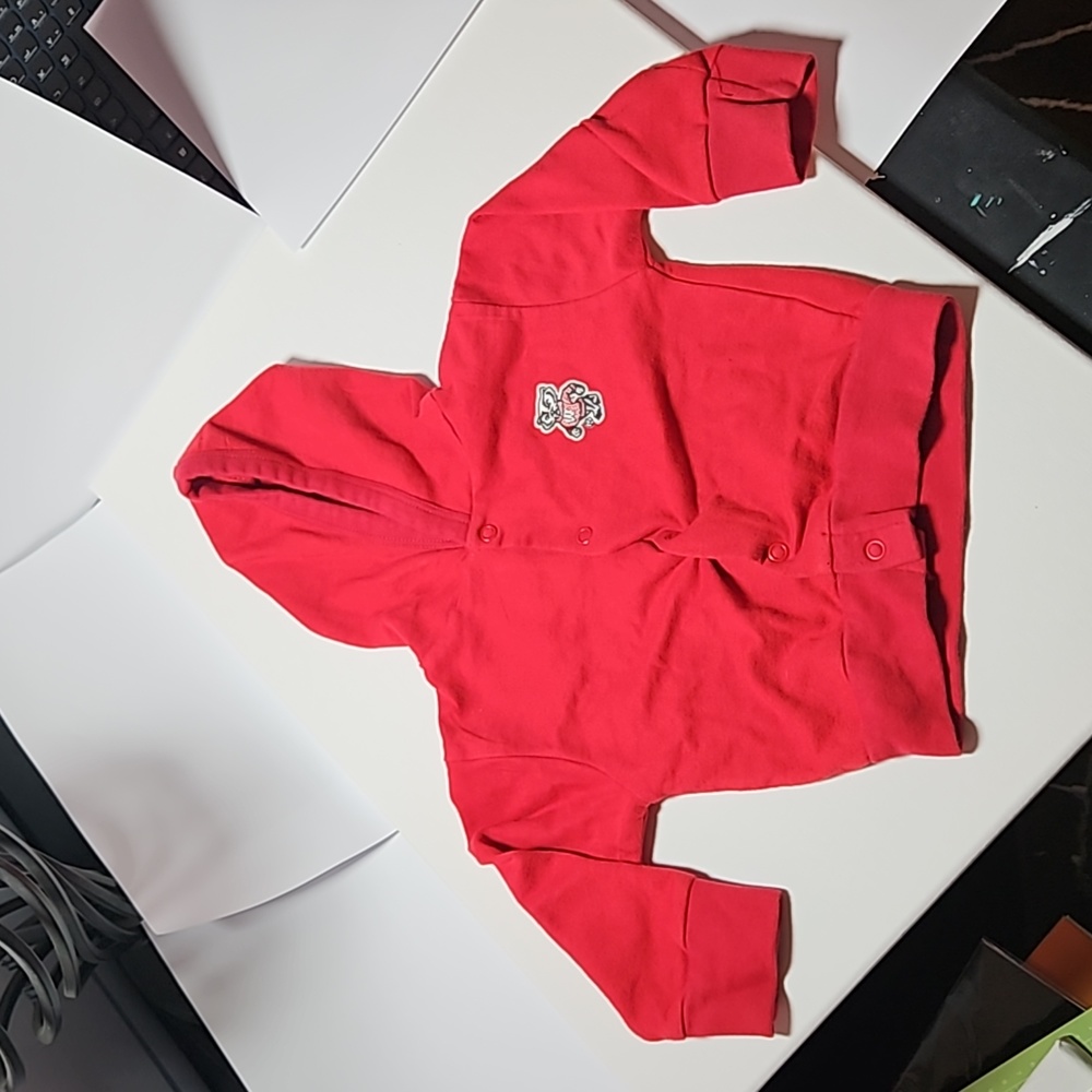Wisconsin badgers hoodie 18 months